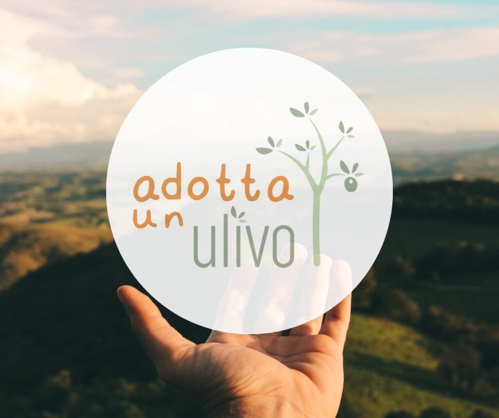 Adotta un ulivo